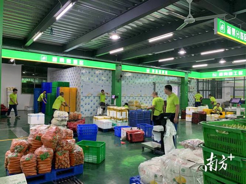 福州农副产品批发市场的活力与机遇