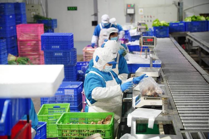 福州农副产品批发行业的最新动态——绿意盎然的市场生态